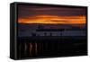 Morning at Sausalto Pier with Photographers California Bay Area-Vincent James-Framed Stretched Canvas