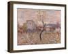 Morning at the Campi Phlegraei-Vincenzo Ciardo-Framed Giclee Print