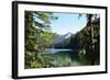 Morning at the Lake III-Brian Moore-Framed Photographic Print