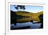 Morning at the Lake IV-Brian Moore-Framed Photographic Print