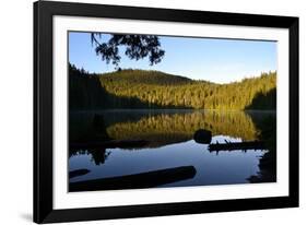 Morning at the Lake IV-Brian Moore-Framed Photographic Print