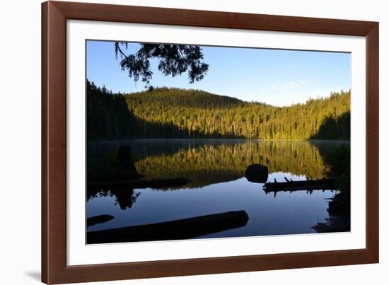 Morning at the Lake IV-Brian Moore-Framed Photographic Print