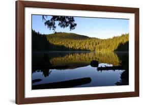 Morning at the Lake IV-Brian Moore-Framed Photographic Print