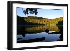 Morning at the Lake IV-Brian Moore-Framed Photographic Print