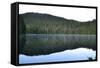 Morning at the Lake V-Brian Moore-Framed Stretched Canvas