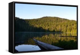 Morning at the Lake VI-Brian Moore-Framed Stretched Canvas