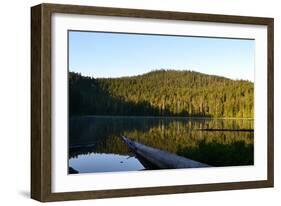 Morning at the Lake VI-Brian Moore-Framed Photographic Print