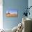 Morning at the Totem Pole, Monument Valley Arizona-Vincent James-Stretched Canvas displayed on a wall