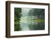Morning Atmosphere Campsite on A Lake in the Pine Forest-Yongkiet-Framed Photographic Print