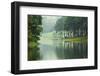 Morning Atmosphere Campsite on A Lake in the Pine Forest-Yongkiet-Framed Photographic Print