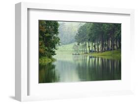 Morning Atmosphere Campsite on A Lake in the Pine Forest-Yongkiet-Framed Photographic Print