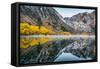 Morning Autumn Reflections at Convict Lake, Mammoth Lakes, Eastern Sierras-Vincent James-Framed Stretched Canvas