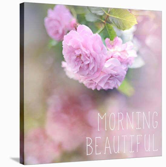 Morning Beautiful-Sarah Gardner-Stretched Canvas