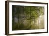 Morning Beauty-Norbert Maier-Framed Photographic Print