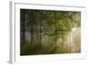 Morning Beauty-Norbert Maier-Framed Photographic Print