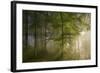 Morning Beauty-Norbert Maier-Framed Photographic Print