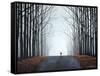 Morning Bike-Tina Palmer-Framed Stretched Canvas