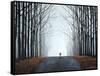 Morning Bike-Tina Palmer-Framed Stretched Canvas