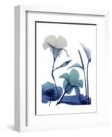 Morning Bloom 1-Albert Koetsier-Framed Art Print