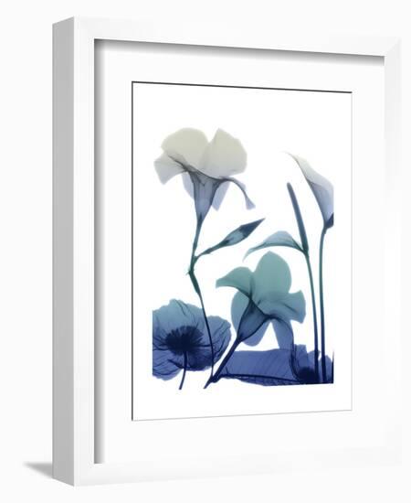 Morning Bloom 1-Albert Koetsier-Framed Art Print