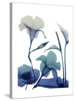 Morning Bloom 1-Albert Koetsier-Stretched Canvas