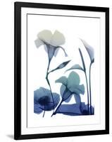 Morning Bloom 1-Albert Koetsier-Framed Art Print