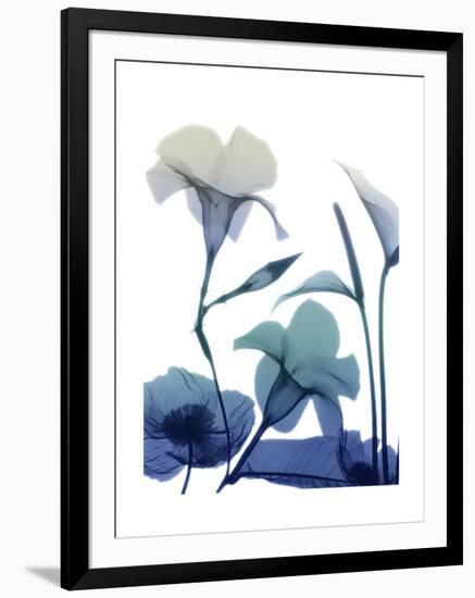 Morning Bloom 1-Albert Koetsier-Framed Art Print