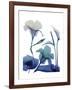 Morning Bloom 1-Albert Koetsier-Framed Art Print