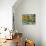 Morning Bloom-Judy Talacko-Mounted Giclee Print displayed on a wall
