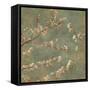 Morning Blossom II-John Seba-Framed Stretched Canvas