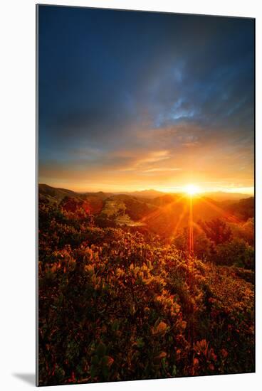 Morning Break, Sunrise and Clouds Over Mount Diablo, Oakland, Bay Area-Vincent James-Mounted Photographic Print