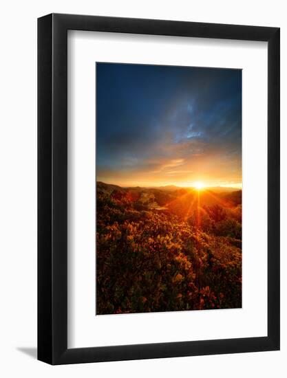 Morning Break, Sunrise and Clouds Over Mount Diablo, Oakland, Bay Area-Vincent James-Framed Photographic Print