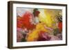 Morning Burst-Allan Friedlander-Framed Art Print