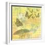 Morning Butterfly-Jan Weiss-Framed Art Print