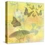 Morning Butterfly-Jan Weiss-Stretched Canvas