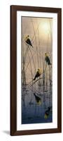 Morning Call - Yellow Headed Blackbirds-Jeff Tift-Framed Premium Giclee Print