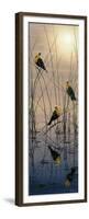 Morning Call - Yellow Headed Blackbirds-Jeff Tift-Framed Premium Giclee Print