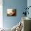 Morning Calm-Orah Moore-Mounted Art Print displayed on a wall