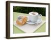 Morning Cappuccino at Eden Grand Hotel, Lake Lugano, Lugano, Switzerland-Lisa S. Engelbrecht-Framed Premium Photographic Print