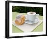 Morning Cappuccino at Eden Grand Hotel, Lake Lugano, Lugano, Switzerland-Lisa S. Engelbrecht-Framed Premium Photographic Print