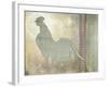 Morning Chicken 3-LightBoxJournal-Framed Giclee Print