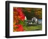 Morning Chores at the Imagination Morgan Horse Farm, Vermont, USA-Charles Sleicher-Framed Photographic Print