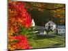 Morning Chores at the Imagination Morgan Horse Farm, Vermont, USA-Charles Sleicher-Mounted Photographic Print