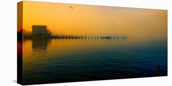 Morning Comes on the Bay-John Rivera-Stretched Canvas