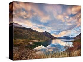 Morning Delight at Lake Hawea-Yan Zhang-Stretched Canvas