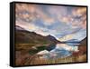 Morning Delight at Lake Hawea-Yan Zhang-Framed Stretched Canvas