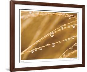 Morning Dew I-Joy Doherty-Framed Giclee Print