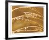 Morning Dew II-Joy Doherty-Framed Giclee Print