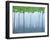 Morning Dream-Herb Dickinson-Framed Premium Photographic Print