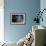 Morning Echo-Gordon Semmens-Framed Premium Giclee Print displayed on a wall